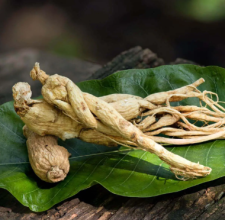 Panax ginseng aerial extract ingredient in GlycoHarmony formula.